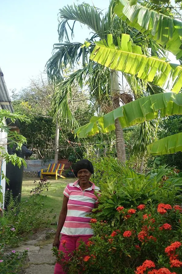 Posada Miss Portia Bahia Suroeste 0*,